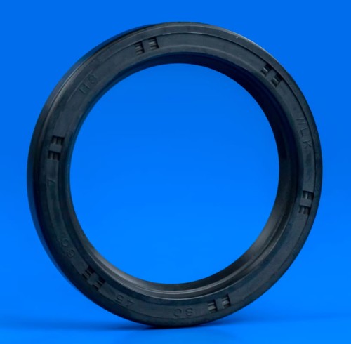 19553dcafda89b77c5d21ba5ef0b3748